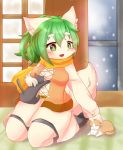  1girl artist_request cat copyright_request dog furry green_eyes green_hair playing snow tagme 