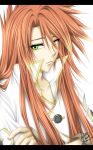  child green_eyes long_hair luke_fon_fabre male redhead tagme tales_of_the_abyss 