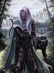  dark_elf drizzt_do&#039;urden drow dual_wield elf forgotten_realms panther scimitar sword white_hair 