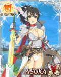  alternate_costume armor asuka_(senran_kagura) black_hair breasts brown_eyes happy huge_breasts senran_kagura shield sword 