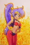  1girl female purple_hair shantae shantae_(character) solo 
