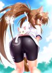  1girl angry animal animal_ears ass baseball baseball_glove bike_shorts brown_hair butterfly cat clouds fang gym_uniform long_hair long_ponytail looking_back open_mouth ponytail red_eyes sky spanked spanking sport white_cat yellow_eyes 