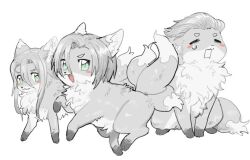  :3 animal_focus animalization blush_stickers closed_eyes crying fang final_fantasy final_fantasy_vii final_fantasy_vii_advent_children fox full_body green_eyes grey_fur grey_hair hair_between_eyes hair_slicked_back hattouissenbaka kadaj kitsune loz medium_hair no_humans open_mouth sad short_hair sidelocks simple_background sitting slit_pupils smile standing teardrop white_background yazoo 