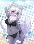  1girl artist_request beach bikini breasts brown_eyes female fox furry grey_hair halftone halftone_background long_hair open_mouth sky solo swimsuit white_background 