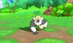  animated animated_gif passimian pokemon pokemon_sm 