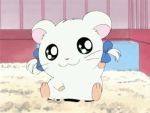  :3 animated animated_gif bijou hamster hamtaro ribbon source_request 