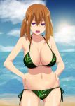  1girl beach bikini blue breasts brown_hair clouds female hands_on_hips himura_kiseki large_breasts long_hair looking_at_viewer open_mouth original sea side-tie_bikini solo standing swimsuit twintails violet_eyes 