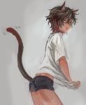  1boy animal_ears brown_hair cat_ears cat_tail child closed_mouth cowboy_shot dark_skin from_side grey_background looking_at_viewer male_focus multicolored_hair ookurikara personification redhead shirt shirt_pull short_shorts shorts simple_background solo t-shirt tail touken_ranbu yamakawa_umi yellow_eyes younger 