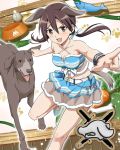  animal_ears dog dog_ears gertrud_barkhorn official_art solo strike_witches tail 