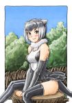  1girl animal_ears blush breasts closed_mouth elbow_gloves fur_collar gloves highres kemono_friends looking_at_viewer ooeyama_ken short_hair small-clawed_otter_(kemono_friends) smile solo tail tree_stump white_hair 