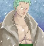  1boy artist_request green_hair jacket male_focus one-eyed one_piece punk_hazard roronoa_zoro scar snow solo 