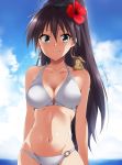  1girl antenna_hair aqua_eyes bikini black_hair breasts cleavage clouds cloudy_sky earrings fang flower ganaha_hibiki hair_flower hair_ornament hamster hamuzou hat highres hoop_earrings idolmaster jewelry kaiga long_hair ponytail sky smile swimsuit white_bikini 