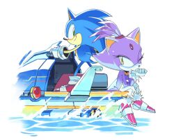  1boy 1girl animal_ears blaze_the_cat boat cat_ears cat_girl furry furry_female furry_male gloves green_eyes jet_ski looking_at_another one_eye_closed simple_background sitting smile sonic_(series) sonic_rush_adventure sonic_the_hedgehog supsross water watercraft white_background yellow_eyes 