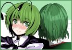  antenna atoshi back-to-back blush cape green_eyes green_hair highres kazami_yuuka plaid_vest short_hair touhou wriggle_nightbug 