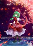  green_hair hair_ribbon kagiyama_hina leaf leaves looking_back ribbon touhou yuuki_(kanranseki) yuuki_(pixiv) 