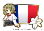  1girl brown_eyes flag fleur_de_lis france french_flag murakami_senami 