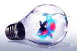  air_bubble closed_mouth ekm finneon fish in_container light_bulb no_humans pokemon pokemon_(creature) pokemon_(game) red_eyes shade smile solo submerged water white_background 