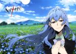  1girl absurdres blue_flower blue_hair copyright_name day field flower flower_field grey_eyes hands_together highres kiznaiver long_hair looking_at_viewer outdoors portrait smile solo sonozaki_noriko 