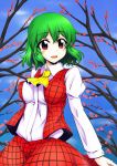  1girl ascot blush cowboy_shot green_hair juliet_sleeves kazami_yuuka kochouka long_sleeves looking_at_viewer open_clothes open_vest parted_lips plaid plaid_skirt plaid_vest puffy_sleeves red_eyes short_hair skirt smile solo touhou vest 