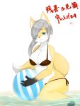  1girl artist_request ball beach bikini blue_eyes breasts female fox furry grey_hair ponytail solo swimsuit white_background 