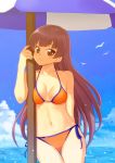  1girl beach_umbrella bikini bird breasts brown_eyes brown_hair clouds kinugawa_miyabi medium_breasts seagull standing swimsuit tessai tetsudou_musume umbrella 