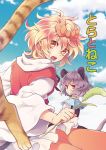  2girls animal_ears blonde_hair capelet cat cover cover_page doujin_cover grey_hair looking_back mouse_ears mouse_tail multiple_girls nazrin open_mouth orange_eyes red_eyes tail tomobe_kinuko toramaru_shou touhou 