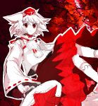  bad_id detached_sleeves hat inubashiri_momiji neda red_eyes shield short_hair silver_hair tokin_hat touhou 