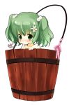  bucket flower green_eyes green_hair heart in_bucket in_container kisume kurot ribbon touhou twintails 