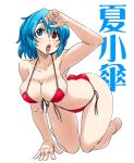  1girl all_fours alternate_costume aono3 armpits ass bikini blue_eyes blue_hair breasts character_name eyebrows eyebrows_visible_through_hair eyes_visible_through_hair full_body hair_between_eyes hand_up hanging_breasts heterochromia large_breasts open_mouth red_bikini red_eyes shiny shiny_hair shiny_skin short_hair simple_background solo string_bikini swimsuit tatara_kogasa thick_eyebrows thighs touhou translated white_background wide_hips 