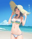  1girl beach bikini black_eyes black_hair clouds hat highres long_hair ocean original satou_kou shochuumimai solo standing straw_hat sun_hat swimsuit translated water 