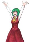  1girl :d arms_up ascot blood blood_on_face cowboy_shot eyebrows eyebrows_visible_through_hair fangs green_hair happy highres kazami_yuuka ldl_(bcw1025) looking_to_the_side open_mouth outstretched_arms phantasmagoria_of_flower_view plaid plaid_skirt plaid_vest red_eyes simple_background skirt skirt_set smile solo touhou vest white_background 