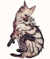  aardwolf animal animal_focus giulialibard highres hyena no_humans original pawpads realistic simple_background snout solo striped_fur white_background 
