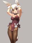  1girl :d animal_ears armpits arms_up bare_shoulders black_bow bow bowtie breasts brown_eyes brown_legwear bunny_girl bunnysuit cowboy_shot flower_knight_girl grey_background leotard looking_at_viewer open_mouth pantyhose rabbit_ears sasayuki short_hair smile solo usagi_no_ou_(flower_knight_girl) white_hair wrist_cuffs 