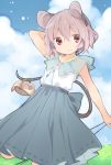  1girl adapted_costume akagashi_hagane animal_ears arm_up basket capelet grey_hair mouse mouse_ears mouse_tail nazrin pendulum red_eyes short_hair sleeveless solo tail touhou 