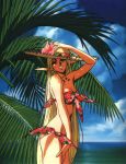  beach bikini blonde_hair classic deedlit elf hat record_of_lodoss_war smile swimsuit tropical 