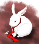  bunny bunny_ears itsuku necktie rabbit realistic red_eyes reisen_udongein_inaba reisen_udongein_inaba_(bunny) suppository touhou 