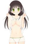  1girl bare_shoulders blush breasts brown_hair camisole_lift collarbone cowboy_shot dekochin_hammer eyebrows eyebrows_visible_through_hair flower gochuumon_wa_usagi_desu_ka? green_eyes groin hair_flower hair_ornament highres long_hair looking_at_viewer navel panties simple_background smile solo thigh_gap ujimatsu_chiya under_boob underwear white_background white_panties 