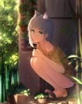  1girl animal_ears bare_legs barefoot brown_eyes brown_hair cat_ears cat_tail door expressionless highres legs original osward91 panties plant potted_plant short_hair solo squatting sweater tail underwear white_panties 