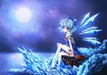  1girl blue_eyes blue_hair blush bow cirno dress grass hair_bow highres ice ice_wings karadborg large_bow loafers looking_at_viewer night puffy_short_sleeves puffy_sleeves shoes shoes_removed short_hair short_sleeves sitting smile socks solo touhou wings 