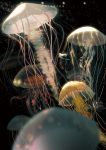  1girl blurry bubble depth_of_field glowing jellyfish long_hair mermaid monster_girl sarnath solo underwater 