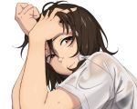  1girl brown_eyes brown_hair face looking_to_the_side no_hat portrait shirt short_hair short_sleeves simple_background smile solo tojo_(strit2p) touhou usami_renko wet wet_clothes wet_hair wet_shirt white_background 