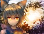  1girl :&lt; animal_ears blonde_hair fox_ears frills nagare short_hair solo tabard touhou yakumo_ran yellow_eyes 