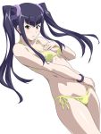  00s 1girl artist_request bikini black_hair breasts female hair_ornament ikkitousen long_hair looking_at_viewer saji_genpou_(true) shiny shiny_hair shiny_skin small_breasts swimsuit twintails yellow_eyes 