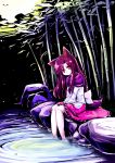  1girl :3 animal_ears azumaya_toushirou bamboo bamboo_forest brooch brown_hair dress forest highres imaizumi_kagerou jewelry long_sleeves looking_at_viewer nature red_eyes sitting sitting_on_rock solo tail touhou water wide_sleeves wolf_ears wolf_tail 