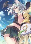  1girl aircraft animal_ears ass back bangs blue_sky blurry blush breasts cat_ears claw_(weapon) closed_mouth clouds cowboy_shot crop_top depth_of_field detached_sleeves erun_(granblue_fantasy) eyebrows eyebrows_visible_through_hair from_below furumiya_haiji granblue_fantasy grass green_skirt grey_hair hair_between_eyes highres hood hood_down looking_at_viewer midriff miniskirt motion_blur pleated_skirt sen_(granblue_fantasy) side_slit sideboob silver_hair skirt sky small_breasts smile solo weapon wind 
