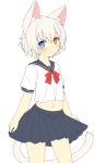  1boy animal_ears blue_eyes blush cat_ears cat_tail heterochromia highres kida_kuro_mu looking_at_viewer midriff navel original pleated_skirt school_uniform shiro_(kida_kuro_mu) short_hair simple_background skirt slit_pupils solo tail trap white_hair yellow_eyes 