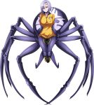  1girl breasts extra_eyes football large_breasts monster_girl monster_musume_no_iru_nichijou monster_musume_no_iru_nichijou_online official_art rachnera_arachnera red_eyes short_hair solo spider_girl sportswear 