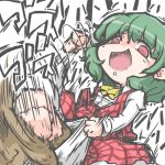  1girl dress green_hair kazami_yuuka kureha_mitsushige long_sleeves open_mouth punching red_dress red_eyes short_hair smile touhou 