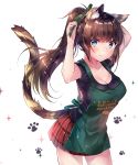  1girl animal_ears apron bangs black_shirt blue_eyes blush breasts brown_hair cat_ears cat_girl cat_tail cleavage closed_mouth clothes_writing collarbone commentary_request cowboy_shot eyebrows_visible_through_hair green_apron green_ribbon hair_ribbon highres large_breasts long_hair looking_at_viewer original plaid plaid_skirt pleated_skirt ponytail print_apron red_skirt ribbon shirt short_sleeves simple_background skirt smile solo sparkle tail usagihime very_long_hair white_background 