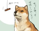  aaru_(tenrake_chaya) animal brown_eyes closed_mouth food meat no_humans shiba_inu simple_background text thread translation_request two-tone_background upper_body whiskers 